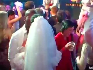First-rate randy brides смоктати великий крани в публічний