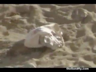 Thesandfly amateur plage glorious sexe!